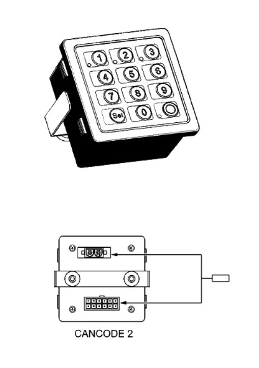51024039